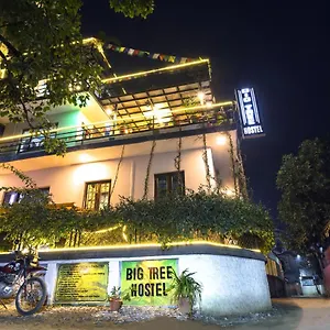 https://big-tree.hotels-kathmandu.com